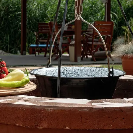 Vadszolo Apartmanhaz Holiday home *