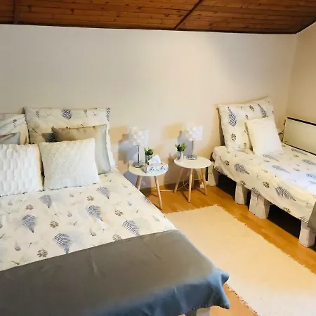 Vadszolo Apartmanhaz Hébergement de vacances *