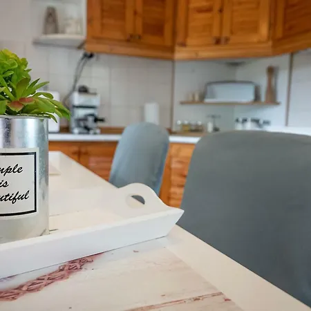 Vadszolo Apartmanhaz Hébergement de vacances Gyomaendrőd
